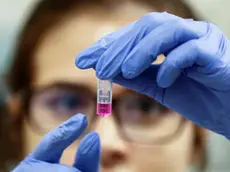 epa08303750 Brazilian scientist in the Immunology laboratory of the Heart Institute (Incor) of the Faculty of Medicine of the University of Sao Paulo, in Sao Paulo, Brazil, 17 March 2020 (issued 18 March 2020). Brazilian scientists develop a coronavirus vaccine with a different method than those used so far by the pharmaceutical industry and groups of researchers from other countries, who expect it to be tested on animals in the coming months. It is the current great challenge of the international scientific community and Brazil, as a power in Latin America, has joined this agonizing race to discover an effective immune response against the virus that has paralyzed half the world, although it has done so with a different approach. Meanwhile, Brazilians remain skeptical about the extent of this global pandemic in the country, where there are about 300 confirmed cases and at least one death from COVID-19. EPA/Sebastiao Moreira