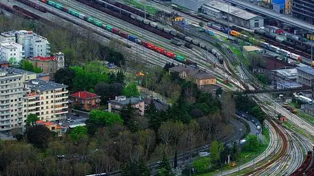sterle trieste porto nuovo