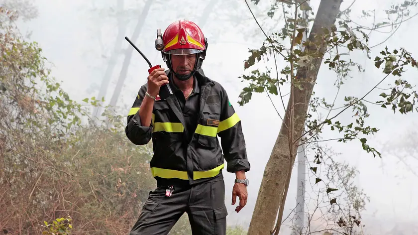 Silvano Trieste 02/09/2016 Incendio tra S. Croce e Aurisina