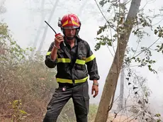 Silvano Trieste 02/09/2016 Incendio tra S. Croce e Aurisina