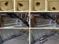 Alcuni fermo immagine del video diffuso dalla Questura di Trieste sulla sparatoria avvenuta venerdi scorso e che inquadrano Alejandro Stephan Meran, l'assassino degli agenti Pierluigi Rotta e Matteo Demenego. ANSA/POLIZIA DI STATO +++EDITORIAL USE ONLY - NO SALES+++