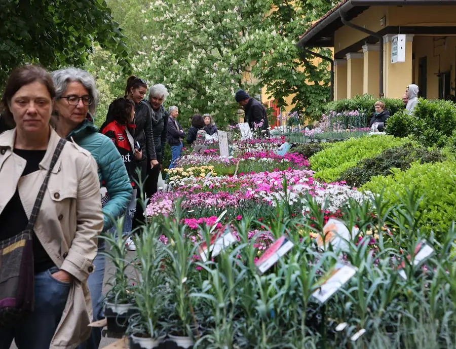 Lasorte Trieste 20/04/24 - Parco di S.Giovanni, Ex OPP, Horti Tergestini
