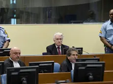 epa07450646 Former Bosnian Serb leader Radovan Karadzic (C, rear) sits in the court room of the International Residual Mechanism for Criminal Tribunals in The Hague, Netherlands, 20 March 2019. Nearly a quarter of a century since Bosnia's devastating war ended, Karadzic is set to hear the final judgment on whether he can be held criminally responsible for unleashing a wave of murder and destruction. United Nations appeals judges will on Wednesday rule whether to uphold or overturn Karadzic's 2016 convictions for genocide, crimes against humanity and war crimes, as well as his 40-year sentence. EPA/PPETER DEJONG