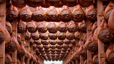 A worker checks in a special room where the Parma hams are hung to dry in Langhirano near Parma, October 13, 2009. Prosciutto di Parma can only be produced in a very restricted area of 29 sq km (11.2 sq mile) around the town of Parma in the region of Emilia Romagna, just north of Tuscany. Around 10 million hams are sold every year, of which about 2 million are exported, mainly to France, the United States and Germany, which each consume about 400,000 a year. To match Reuters Life! FOOD-ITALY/HAM REUTERS/Stefano Rellandini (ITALY FOOD SOCIETY IMAGES OF THE DAY)