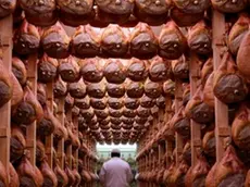 A worker checks in a special room where the Parma hams are hung to dry in Langhirano near Parma, October 13, 2009. Prosciutto di Parma can only be produced in a very restricted area of 29 sq km (11.2 sq mile) around the town of Parma in the region of Emilia Romagna, just north of Tuscany. Around 10 million hams are sold every year, of which about 2 million are exported, mainly to France, the United States and Germany, which each consume about 400,000 a year. To match Reuters Life! FOOD-ITALY/HAM REUTERS/Stefano Rellandini (ITALY FOOD SOCIETY IMAGES OF THE DAY)