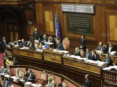 Il Senato della Repubblica