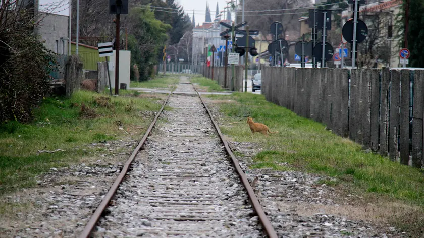 Bonaventura Monfalcone-21.02.2017 Ferrovia vecchia-Monfalcone-foto di Katia Bonaventura