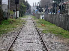 Bonaventura Monfalcone-21.02.2017 Ferrovia vecchia-Monfalcone-foto di Katia Bonaventura