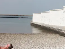 Una scena de “L’ultima spiaggia” che racconterà al Festival di Cannes il "Pedocin"