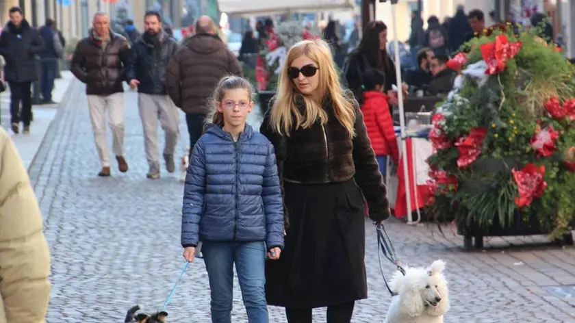 Bumbaca Gorizia 20.12.2015 Folla in giro per acquisti Fotografia di Pierluigi Bumbaca