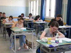 Studenti del liceo Buonarroti di Monfalcone