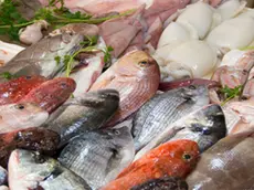 Mixed fish for sale on a market