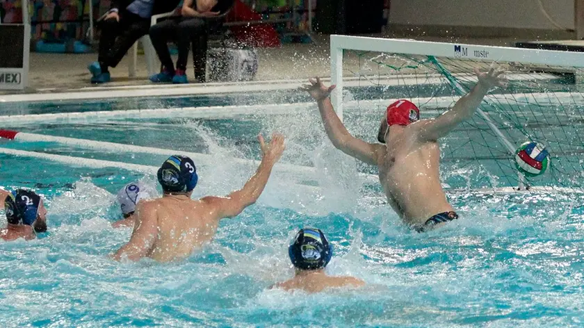 Silvano Trieste 11/02/2017 Pallanuoto Trieste - Verona