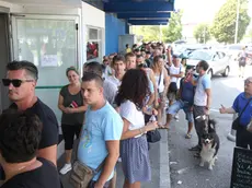 Bumbaca Gorizia 04..8.2018 Valico S. Andrea, fila per vignetta © Fotografia di Pierluigi Bumbaca