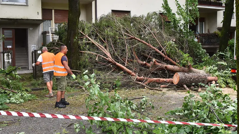 I danni causati dal maltempo a Udine in queste ore (Petrussi)