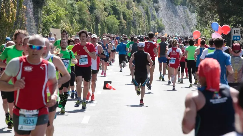Silvano Trieste 07/05/2017 Miramar Marathon