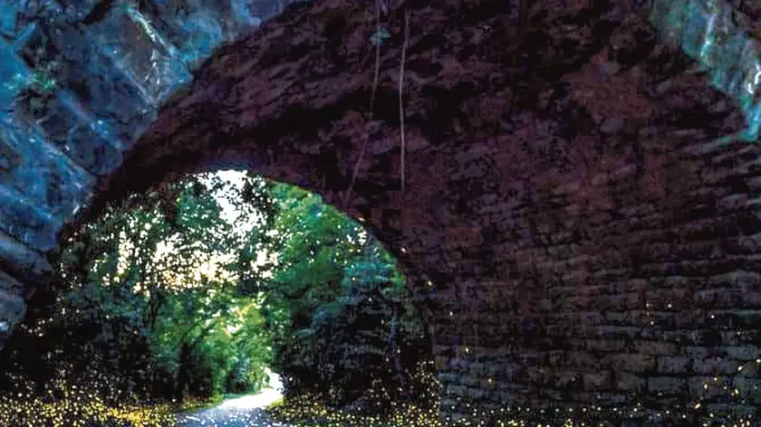 L’arrivo delle lucciole nel sottopasso. Foto Stefano Marsi pubblicata sul gruppo Misteri&Meraviglie del Carso