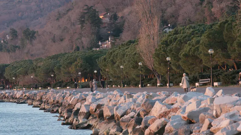 sterle trieste pineta di barcola