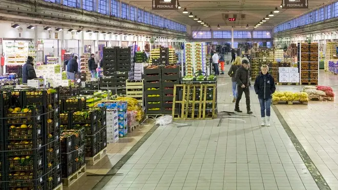 Silvano Trieste 16/01/2013 Mercato Ortofrutticolo