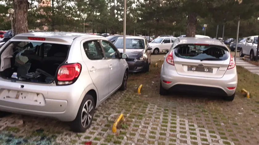 Alcune delle auto vandalizzate