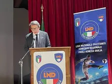 Ermes Canciani è stato riconfermato presidente della Figc Fvg