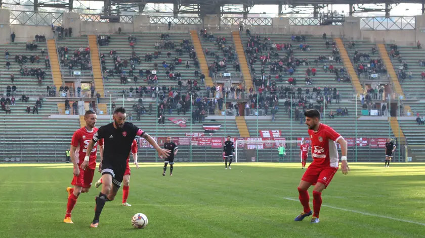 Ivo Bez
