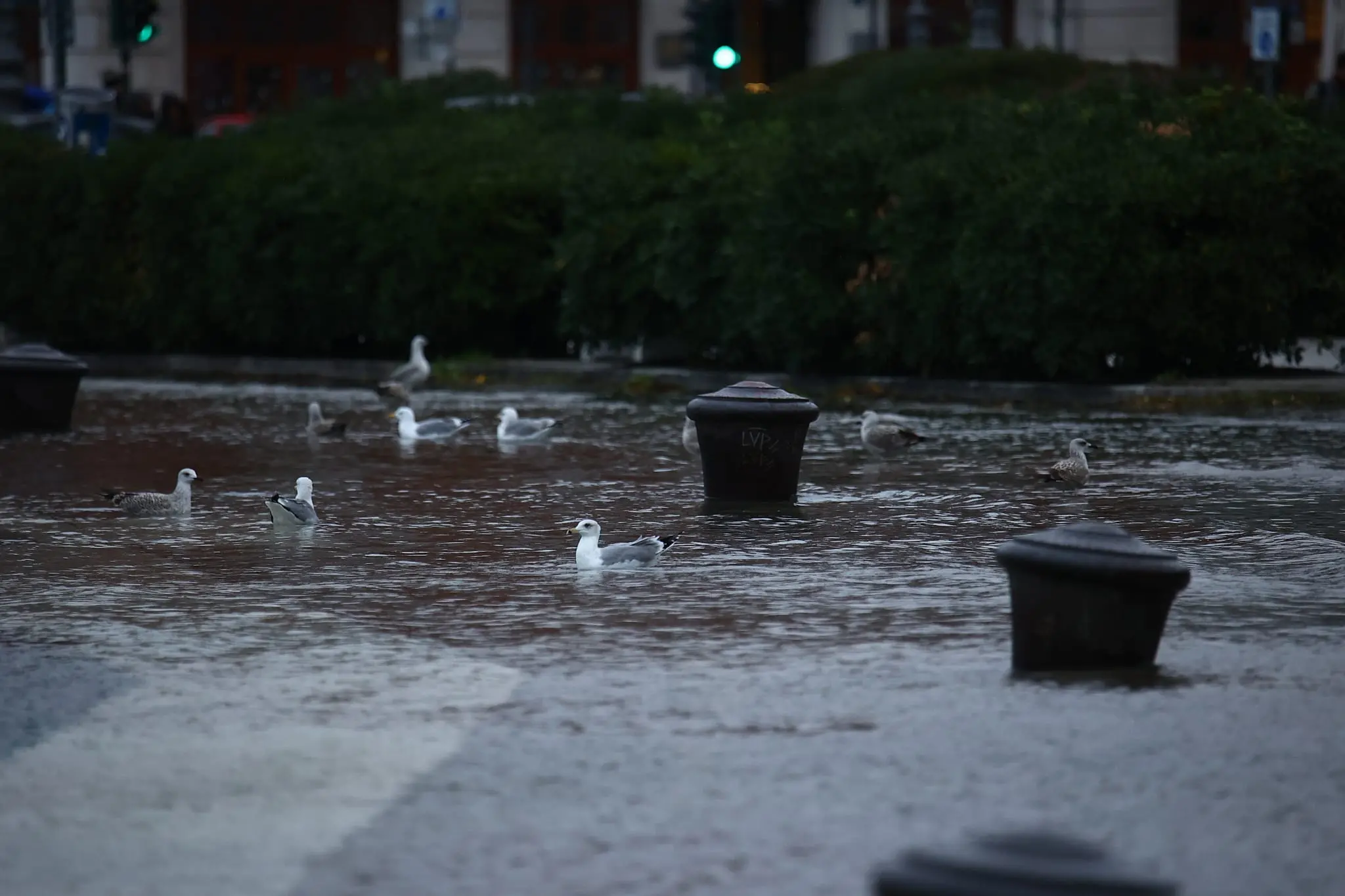 Nelle foto di Andrea Lasorte e Massimo Silvano, le rive di Trieste e la zona di Ponterosso alle prese con l'acqua alta.