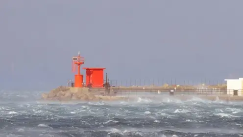 Foto Bruni Trieste 18.01.2017 Trieste-Bora forte in città