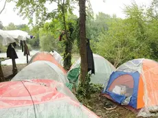 Bumbaca Gorizia 02.09.2014 Tendopoli in Isonzo Fotografia di Pierluigi Bumbaca