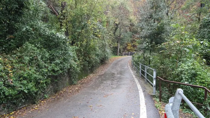 La stradina che si inerpica nel verde in via Plinio, oggetto del contendere