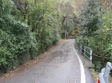 La stradina che si inerpica nel verde in via Plinio, oggetto del contendere