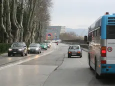 Un'immagine di Passeggio Sant'Andrea