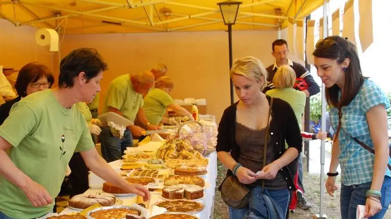 Bumbaca Gorizia 20.05.2012 Cormons festa LA VIARTE - Fotografia di Pierluigi Bumbaca