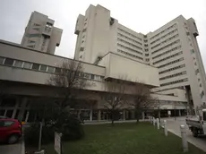 L'ospedale di Cattinara