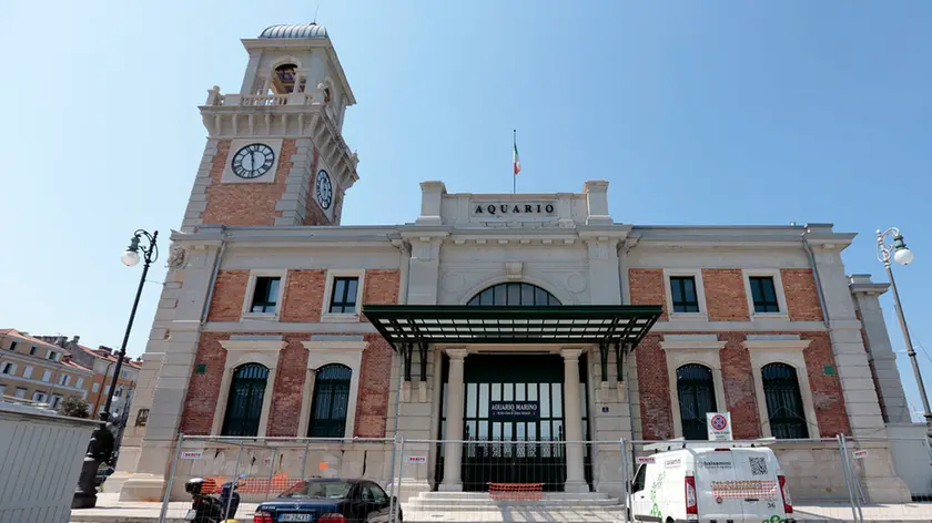 Silvano Trieste 2020-08-10 Aquario, presentazione avvio dei lavori di riqualificazione