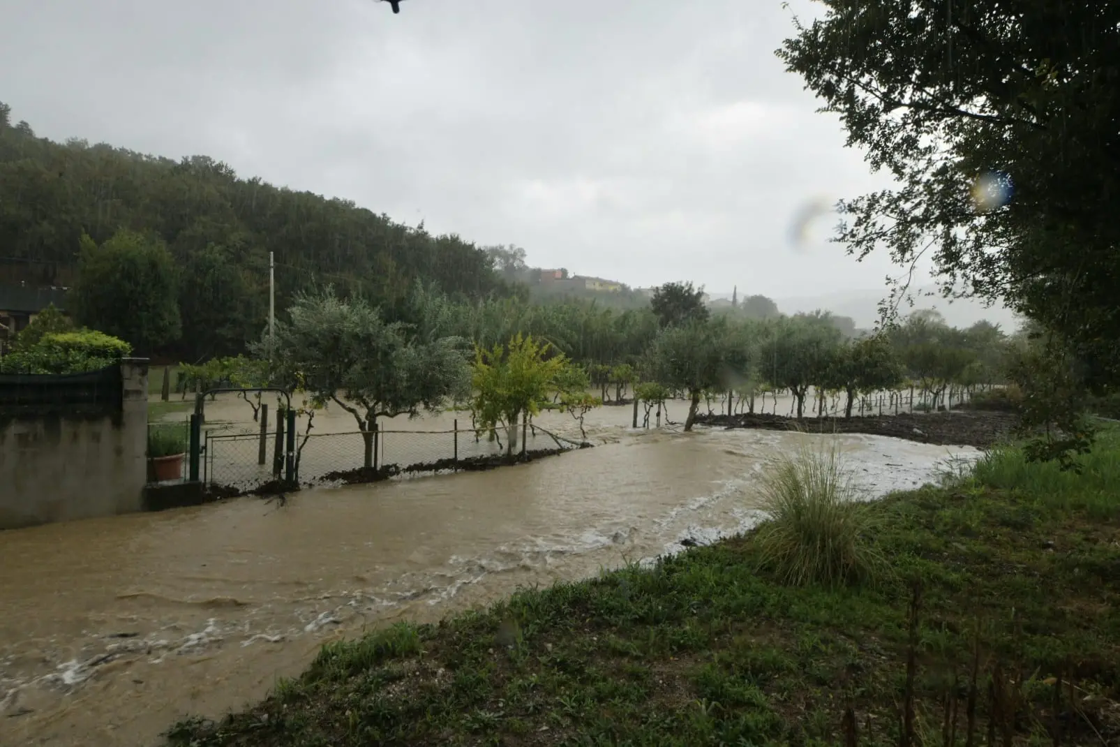 Il violento temporale che si è abbattuto giovedì mattina nel territorio di Muggia ha provocato l'esondazione di Rio Menariolo con gli allagamenti che vediamo fotografati qui da Francesco Bruni. Qui l'articolo con gli aggiornamenti: https://ilpiccolo.gelocal.it/trieste/cronaca/2024/09/12/news/esonda_rio_menariolo_muggia_case_allagate-14625963/