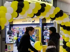 Silvano Trieste 10/10/2015 Arcaplanet