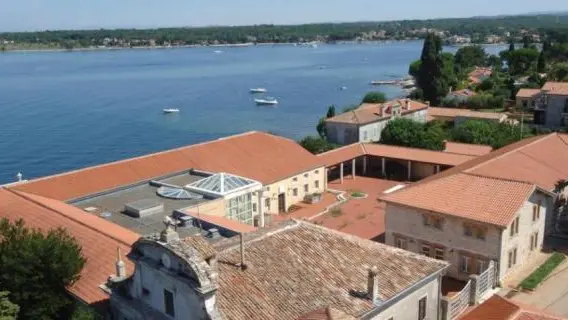 Un’immagine del monastero di Daila (glasistre.hr)