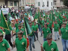 L'adunata alpina del Triveneto svoltasi negli anni scorsi a Feltre