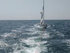 La vela rimasta bloccata a Porto Buso, trainata verso Grado dagli uomini di Circomare.