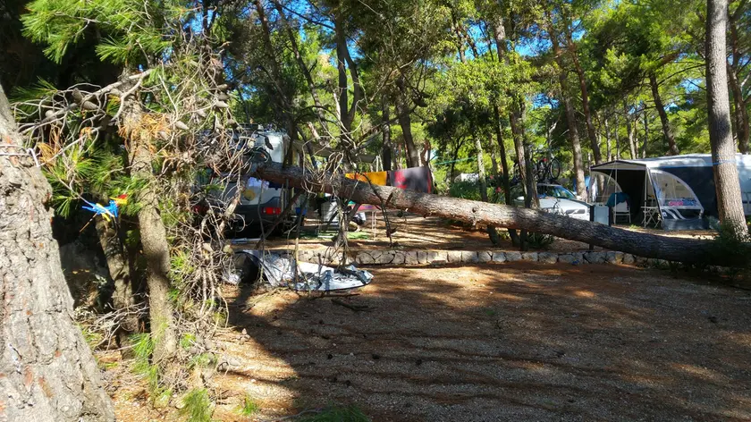 La scena dell'incidente, con il tronco d'albero finito addosso alla tenda dei padovani