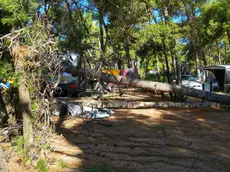 La scena dell'incidente, con il tronco d'albero finito addosso alla tenda dei padovani