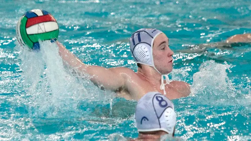 Silvano Trieste 28/01/2017 Pallanuoto, Pallanuoto Trieste - Acquachiara