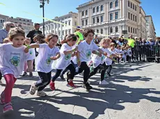 La Spring Run Young (Lasorte)