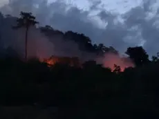 Le fiamme sul Carso isontino
