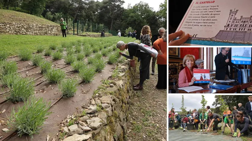 Il vivaio con i pastini all’interno del parco di Miramare; il libro dedicato in braille e i ragazzi al lavoro. Fotoservizio Andrea Lasorte