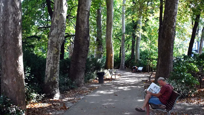 Foto BRUNI 22.08.2018 Giardino Pubblico:degrado e sporcizia