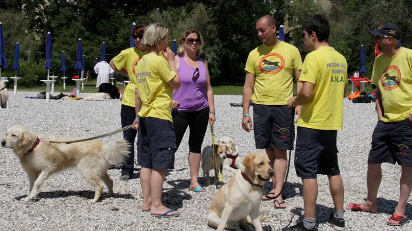 Bonaventura Monfalcone-31.05.2014 Esercitazione per cani da salvataggio in mare-Marina Julia-Monfalcone-foto di Katia Bonaventura