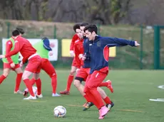 Un allenamento della nuova Triestina