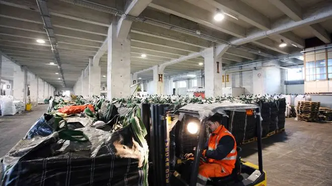 sterle trieste 09 02 09 terminal frutta operazioni di scarico sacconi patate